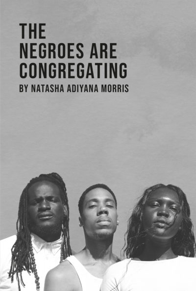 Book cover for The Negroes are Congregating by Natasha Adiyana Morris.