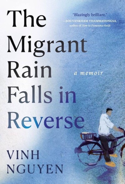 The Migrant Rain Falls in Reverse, Vinh Nguyen